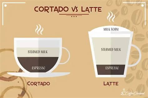 Cual es la diferencia entre un cortado y un latte Mundo del Café