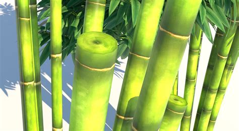 Bamboo 3d Model Turbosquid 1717308