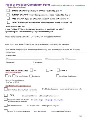 Fillable Online Sssw Hunter Cuny Field Of Practice Completion Form