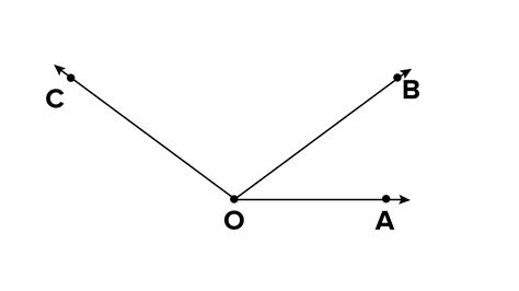 Draw A Rough Diagram Of Two Angles Such That They Have Three Points In