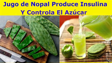 Jugo De Nopal Para La Diabetes Tipo Tips