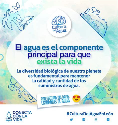 Por Qu Es Importante Cuidar El Agua Mini Manual