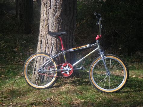 Mongoose