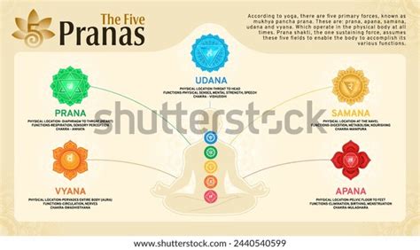 302 Mudra Benefit Images, Stock Photos, and Vectors | Shutterstock