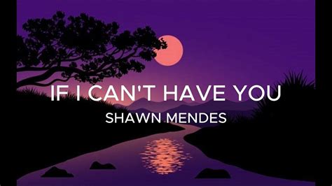 Shawn Mendes If I Cant Have You Lyrics Youtube