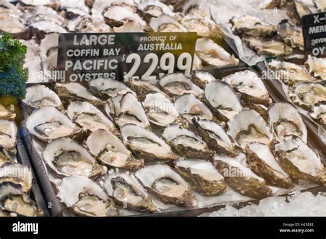 Oysters Sydney Fishmongers Store In Manly Beachsydneyaustralia With