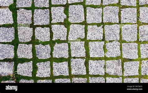 The Texture Of The Paved Tile Of The Street Concrete Paving Slabs