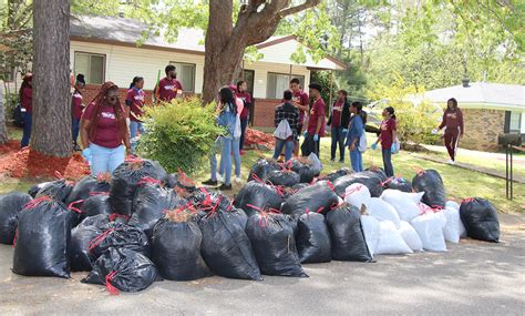 Alabama A&M University - Alabama A&M University