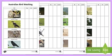 Australian Bird Watching Checklist Teacher Made