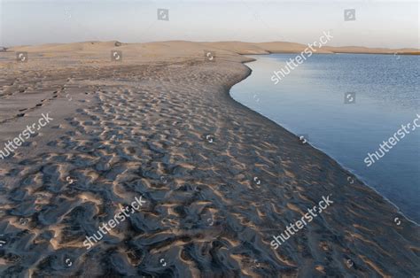 Sand Dunes Coastline Laguna Ojo De Editorial Stock Photo Stock Image