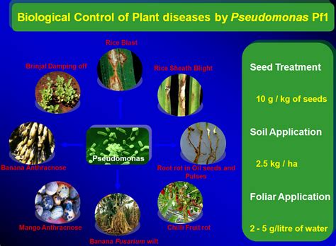 Tnau Agritech Portal Crop Protection