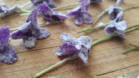 Candied Violets Recipe