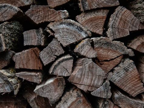 Is Poplar Good Firewood Your Guide To Campfire Fuel Branch Outdoors