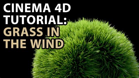 Cinema D Tutorial Grass In The Wind Tutorial Youtube