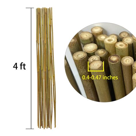 Yfzbamoo Bamboo Stakes For Plants Feet Pack Plant Stakes Eco