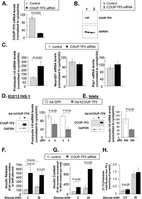 Coup Tfii Represses Insulin Mrna Expression And Insulin Release And