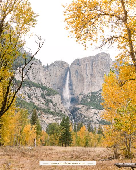 The Best Places to See Fall Colors in Yosemite National Park