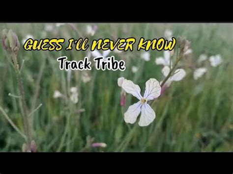 Guess I Ll Never Know Track Tribe Pop Music Noncopyrightedmusic