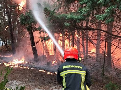 Gironde Un Incendie Brûle Neuf Hectares De Forêt En Pleine Nuit Dans