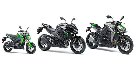 Kawasaki Z Pro Pocket Sized Fun