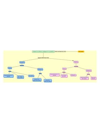 Cambios Fisicos Y Biol Gicos Pdf