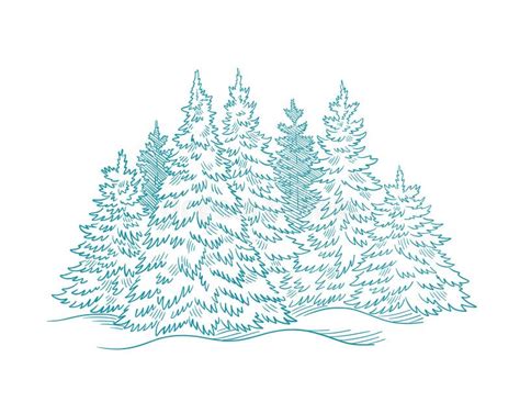 Fir Tree Forest Sketch Blue Conifer Spruce New Year Fir Tree Postcard