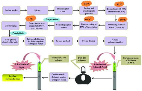 The Entire Process Of The Separation And Purification Of