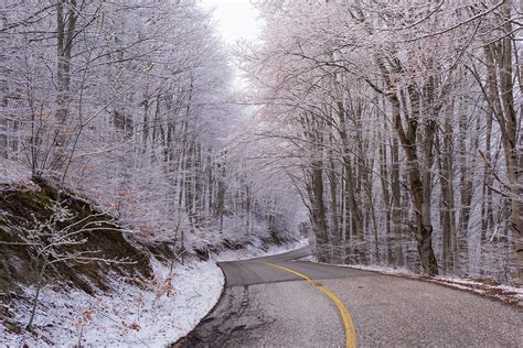 Estrada Inverno Arvores Foto Gratuita No Pixabay Pixabay