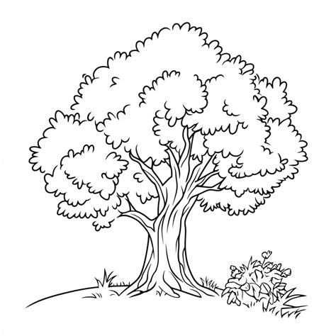 26 Coloriage Arbre Amusez Vous Avec La Nature