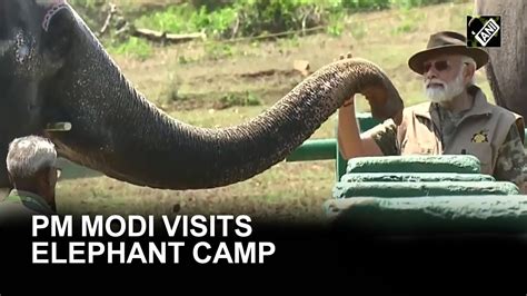 Karnataka Pm Modi Visits Elephant Camp In Mudumalai Tiger Reserve