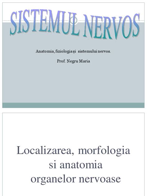 Anatomia Si Fiziologia Sistemului Nervos Central Si Periferic Pdf