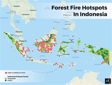 The Return Of Indonesias Forest Fires The Asean Post