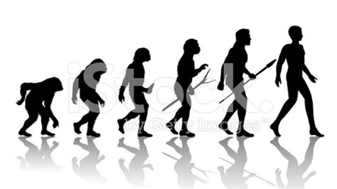 Your Body Is Living Proof of Evolution | Mental Floss