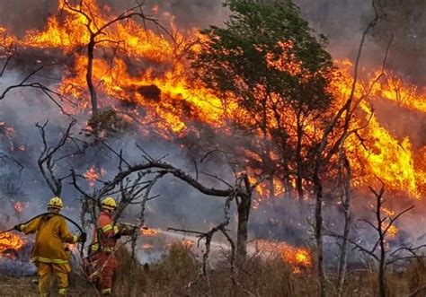 En 2022 Hubo Incendios Forestales En Todas Las Provincias De Argentina