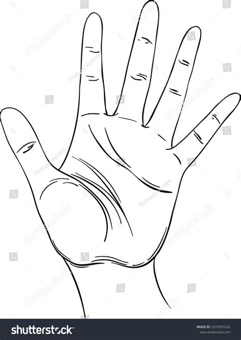 Open Hand Human Palm Hand Drawn Stock Vector Royalty Free 1679591626