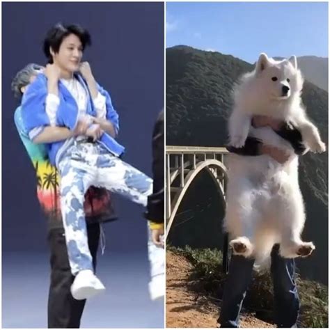 Jeno Base On Twitter Jeno Nct Nct Jeno And Samoyed