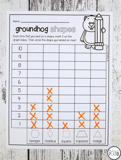 Groundhog Day Centers - The Stem Laboratory