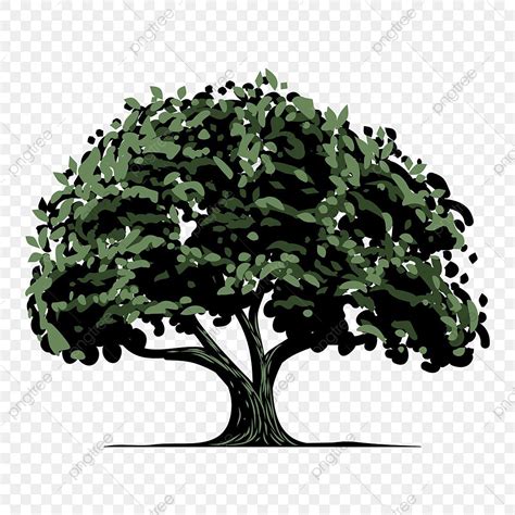 Oak Tree Clip Art Png