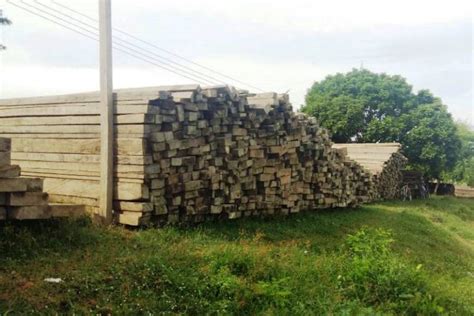 Decomisan Cargamento Ilegal De Madera Avaluado En 220 Millones De Pesos