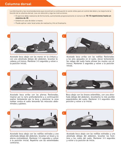 Ejercicios Para La Columna Dorsal