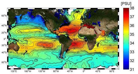 Salinidad Qué Es Salinidad Del Suelo Del Mar Y Más