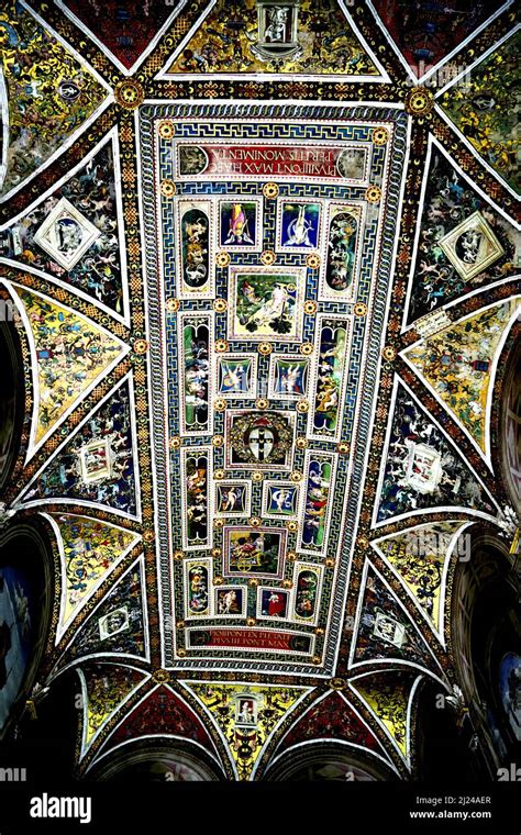 La Libreria Piccolomini Nel Duomo Di Siena Gli Affreschi Furono