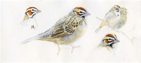 Pin By Sheila Stiles On Birds Bird Sketch Wildlife Artists Wildlife Art