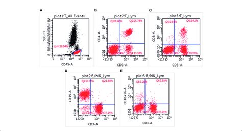 Lymphocyte Subsets Measured By Flow Cytometry The Percentage Of