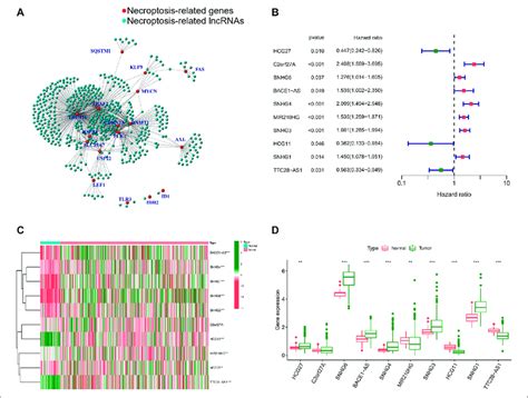 Identification Of Nrls A The Network Between Nrgs And Nrls Download Scientific Diagram