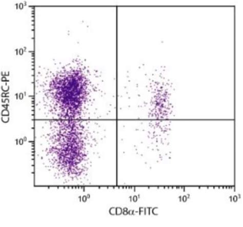 Anti CD45RC FITC Clone C455 1F Novus Biologicals 0 25mg FITC