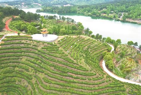 见美 见富 见未来——团风县牛车河乡村振兴示范区创建记 湖北日报新闻客户端