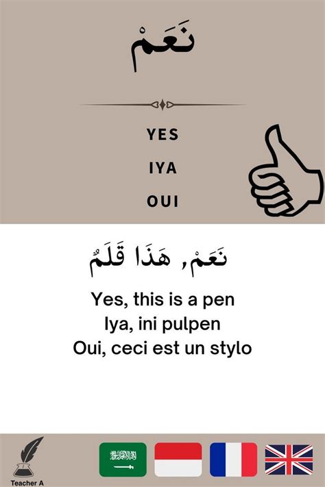 Yes Iya Oui Kosa Kata Bahasa Arab Arabic Vocabulary