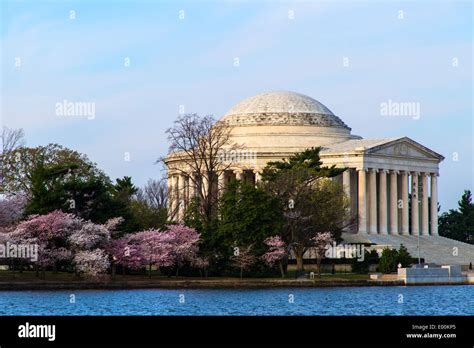 Washington Dc Usa Thomas Jefferson Memorial With Cherry Trees In Full