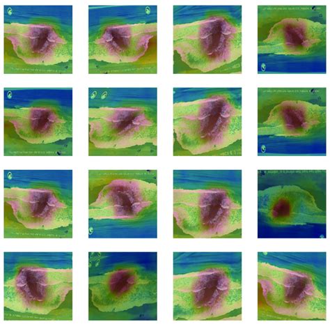 An Illustration Of How The Grad CAM Heatmap Can Generalize To Input